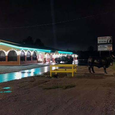 Mi Toro Mexican Grill & Bar in Saltillo